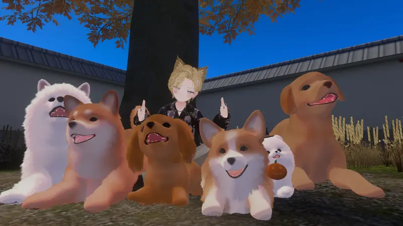 Six dogs lined up in the garden with a visitor