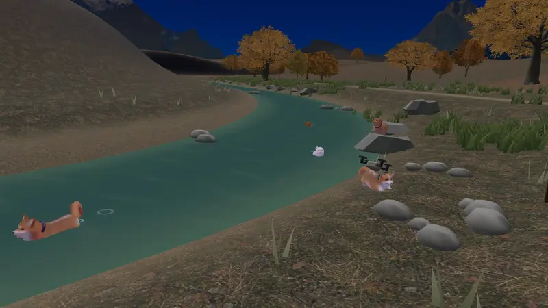 A Shiba swimming in the river